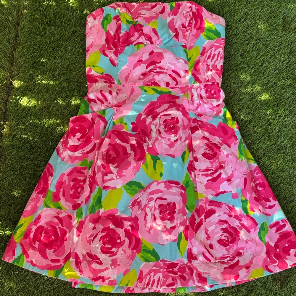 Holy GrailLilly Pulitzer First Impressions Hotty Pink Blossom Dress Size 6 🌸